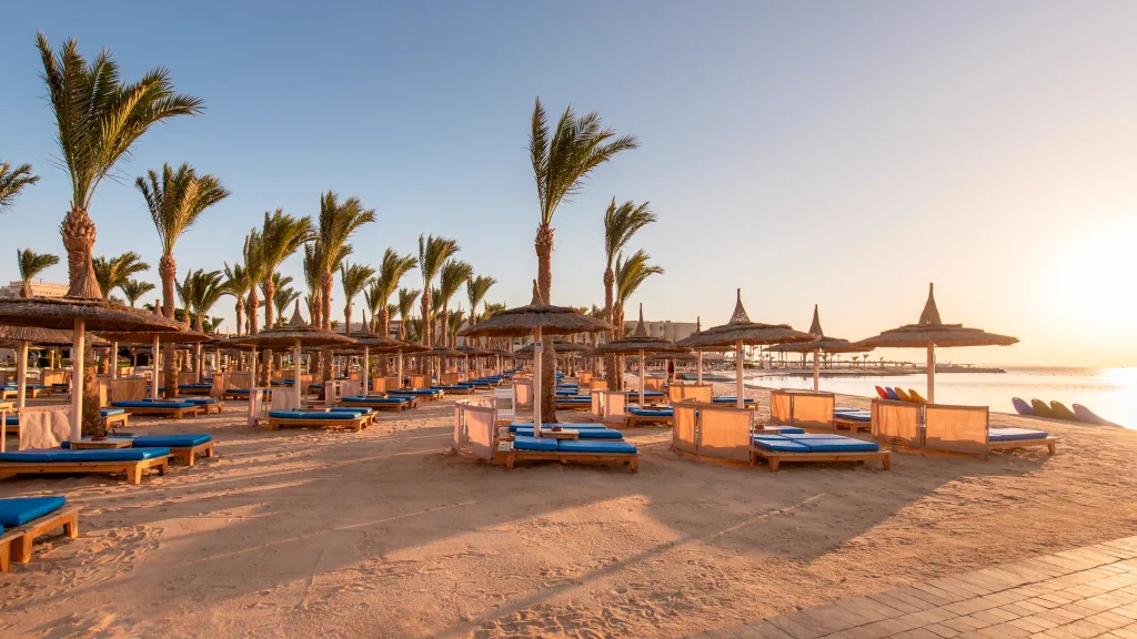 الفندق الباتروس بالاس ريزورت - الغردقة